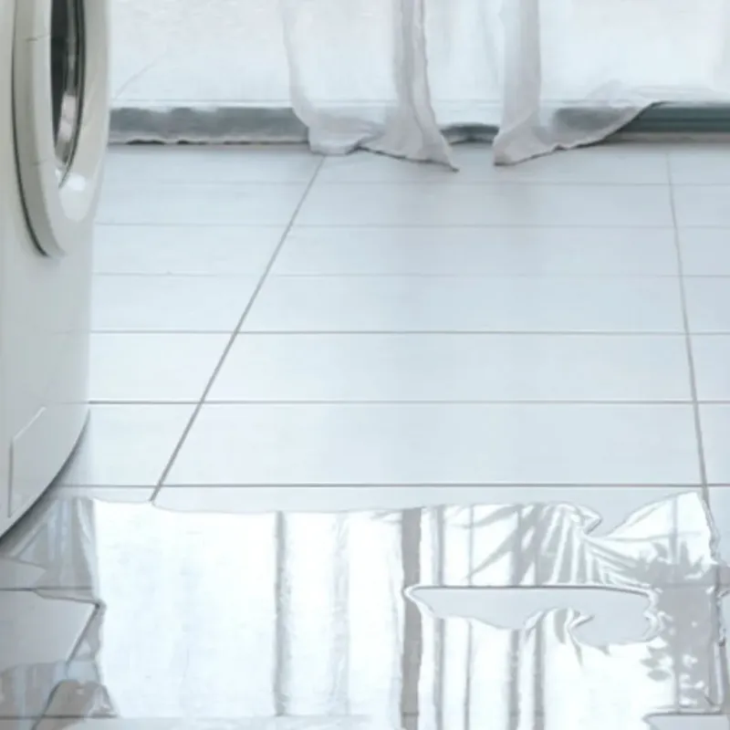 Appliance Leak Cleanup in Providence, TX