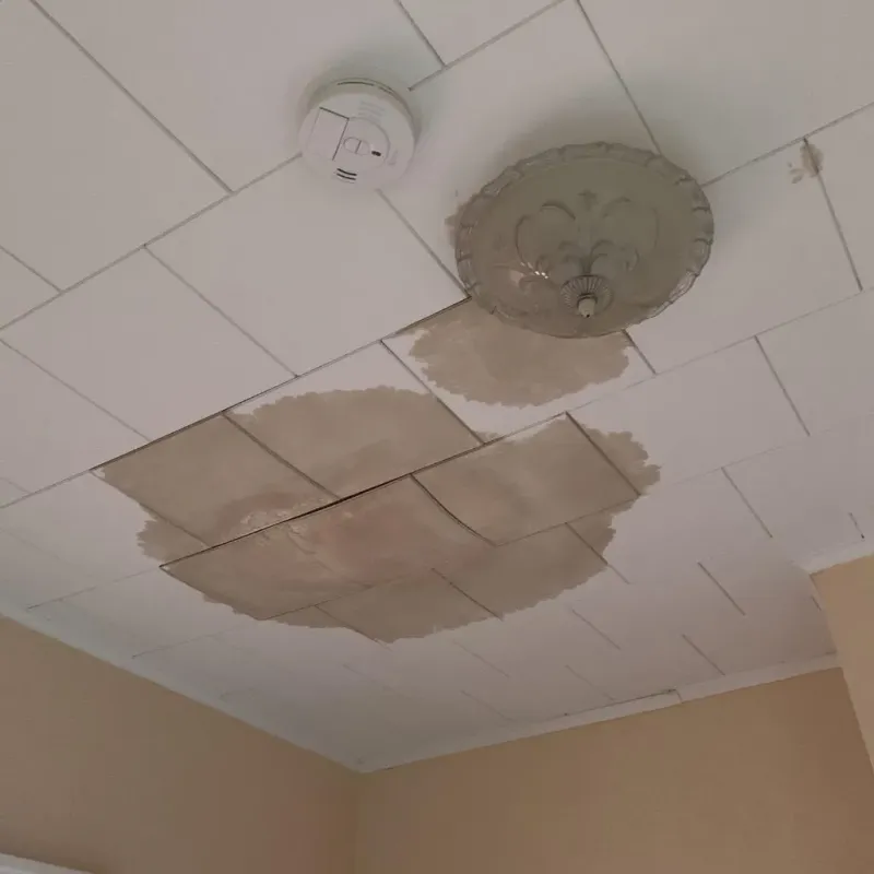 Ceiling Water Damage Repair in Providence, TX