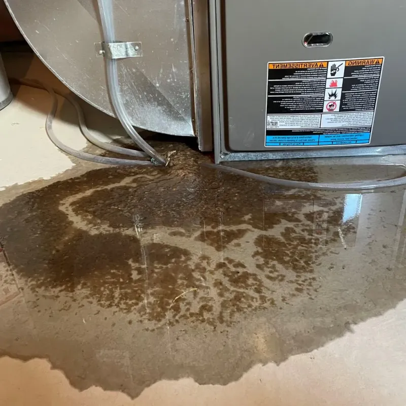 Pipe Burst and Leak Restoration in Providence, TX