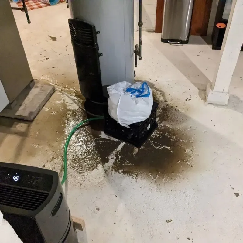 Sewage Backup Cleanup Service in Providence, TX